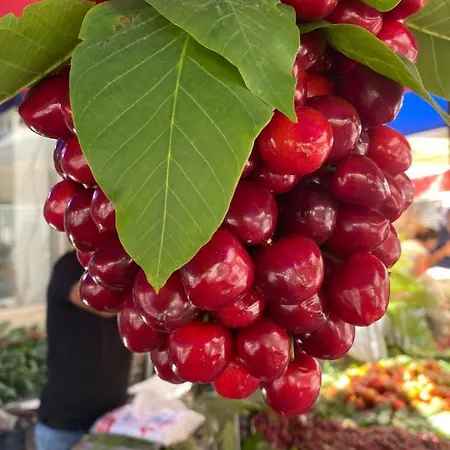 Agroecology And Gastronomy * Kusadası