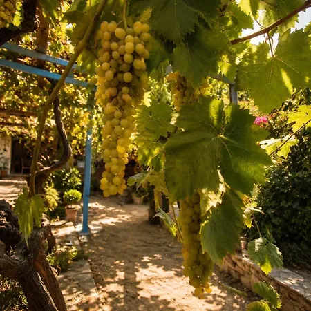 Bed & Breakfast Agroecology And Gastronomy Kusadası